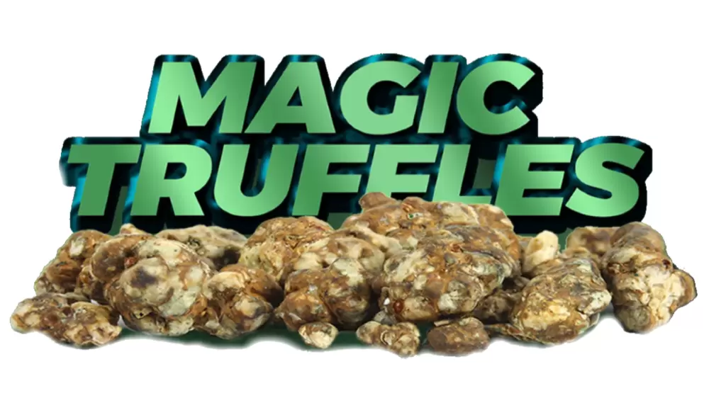 truffles magisch