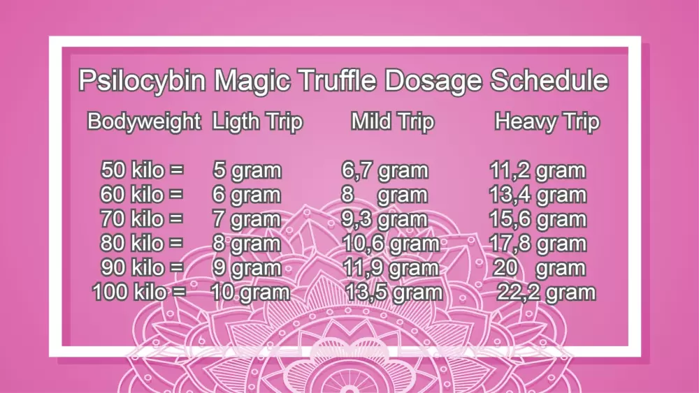 psilocybin magic truffles dosage guide