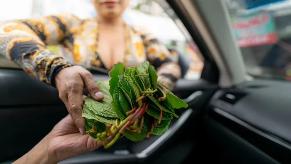 vrouw die kratombladeren verkoopt aan bestuurder auto