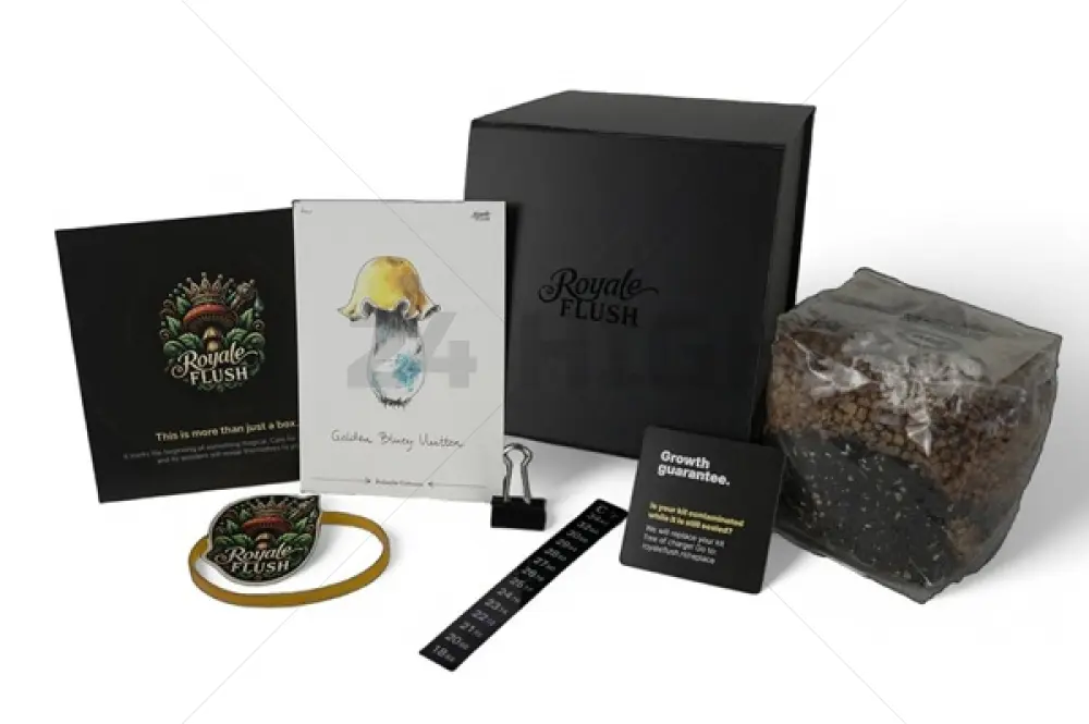 Royale Flush Golden Bluey Vuitton Growkit 