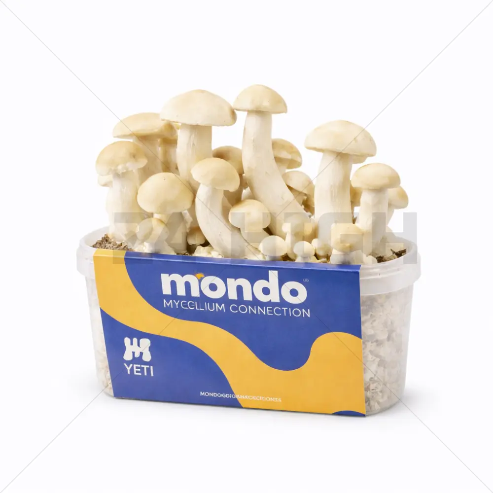 Mondo Growkit Yeti Hybrid