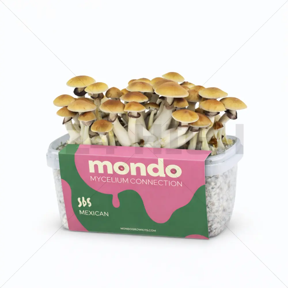 Mondo Grow Kit Mexicana
