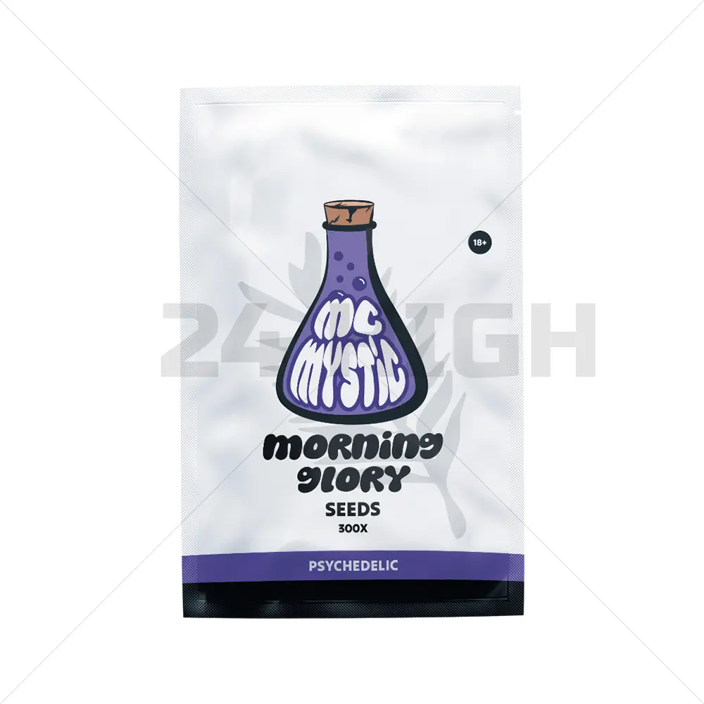 Morning Glory