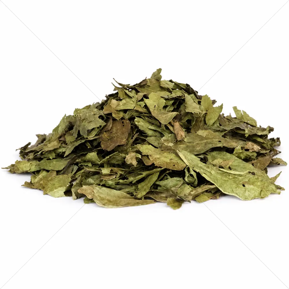 Chacruna (Psychotria viridis) Bladeren – 50 gram