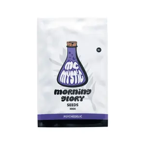 Morning Glory