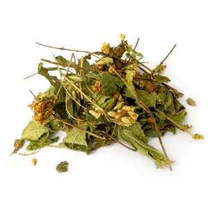 Dream Herbs (Calea zacatechichi) Gesneden – 50 Gram