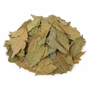 Chaliponga (Diplopterys cabrerana) – 50 Gram