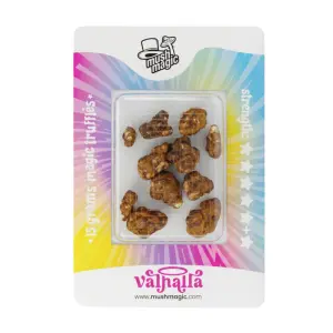 Psilocybe Valhalla 
