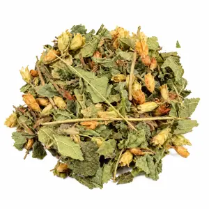 Dream Herbs (Calea zacatechichi) Gesneden – 50 Gram