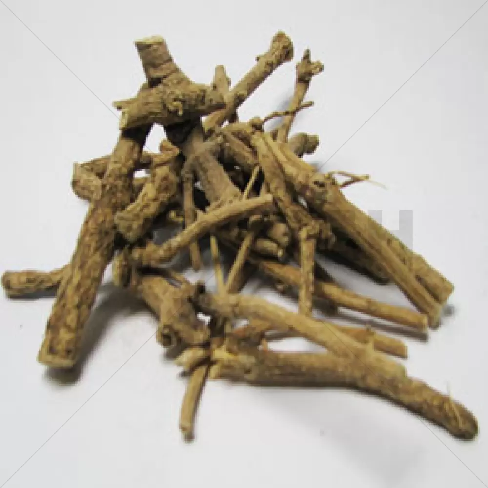 African Dream Root (Silene Capensis)