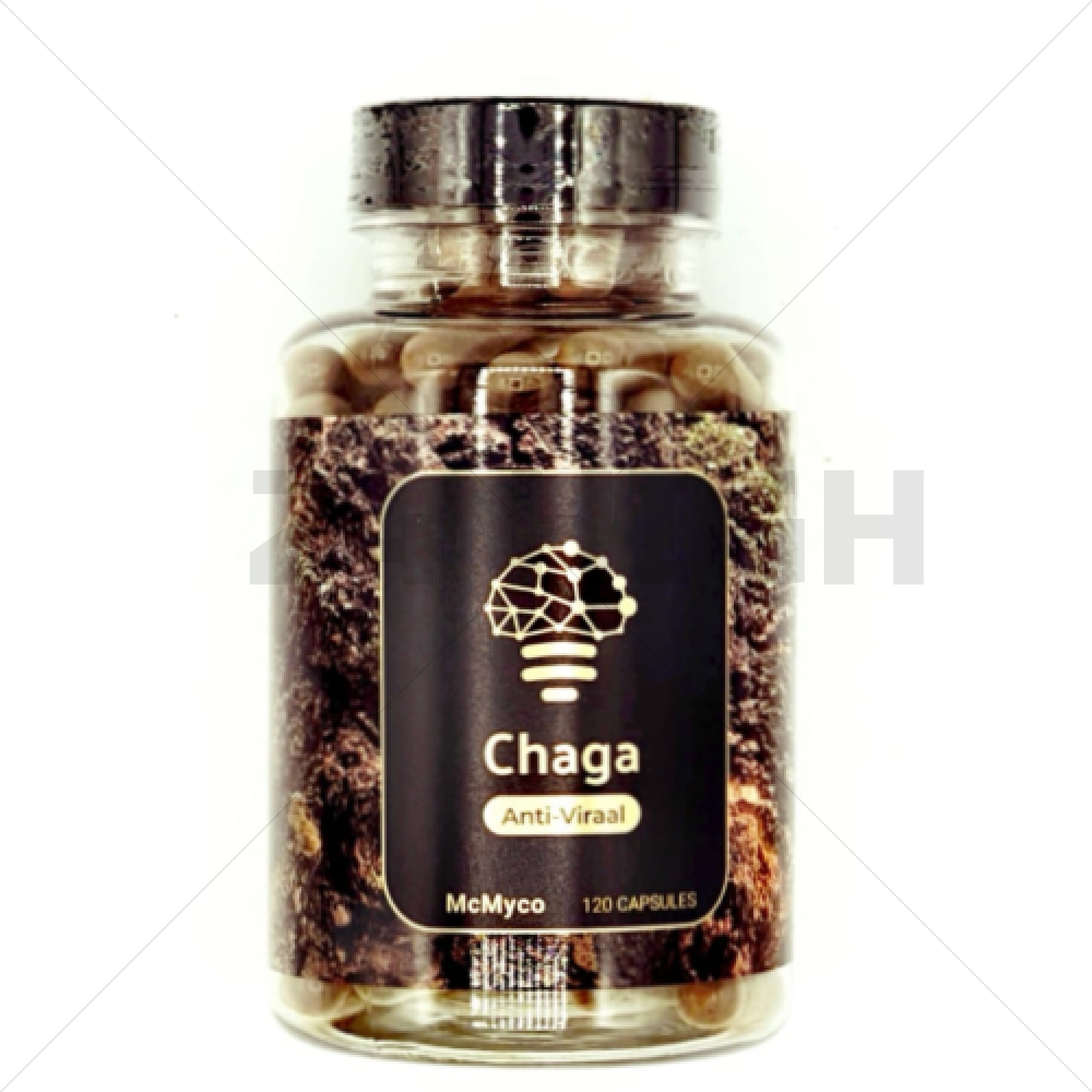 Chaga (Inonotus Obliquus) - Antiviraal