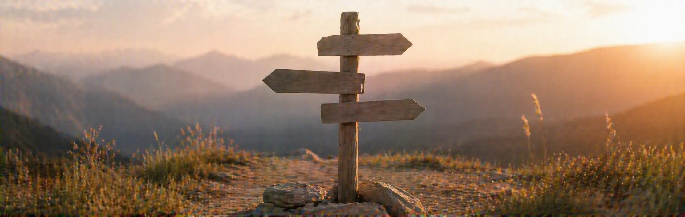 Sunset beside a wooden signpost