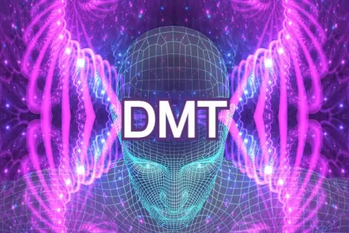 WAT IS DMT?